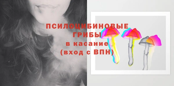 шишки Алексеевка