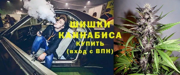 шишки Алексеевка