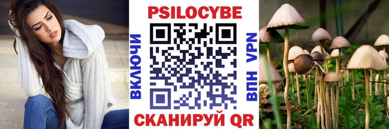 Псилоцибиновые грибы мухоморы  дарнет шоп  Куса 